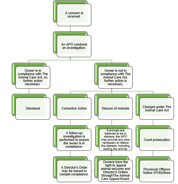 Potential outcomes of an investigation flowchart
