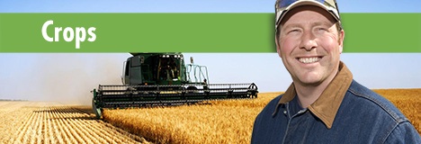 Province of Manitoba  agriculture - Everything You Need to Know