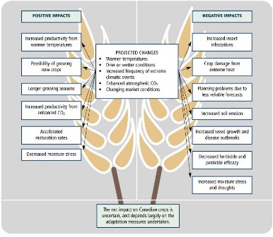 Potential Climate Change Impacts for Agriculture