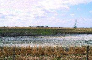 Example of saline soils and resulting reductions in crop growth