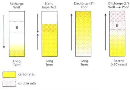 Diagnosing soil salinity using visual soil properties