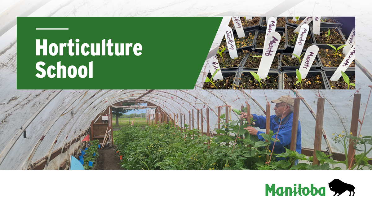 style='display:block;width: 100%;position: relative; margin-top: 20px;'