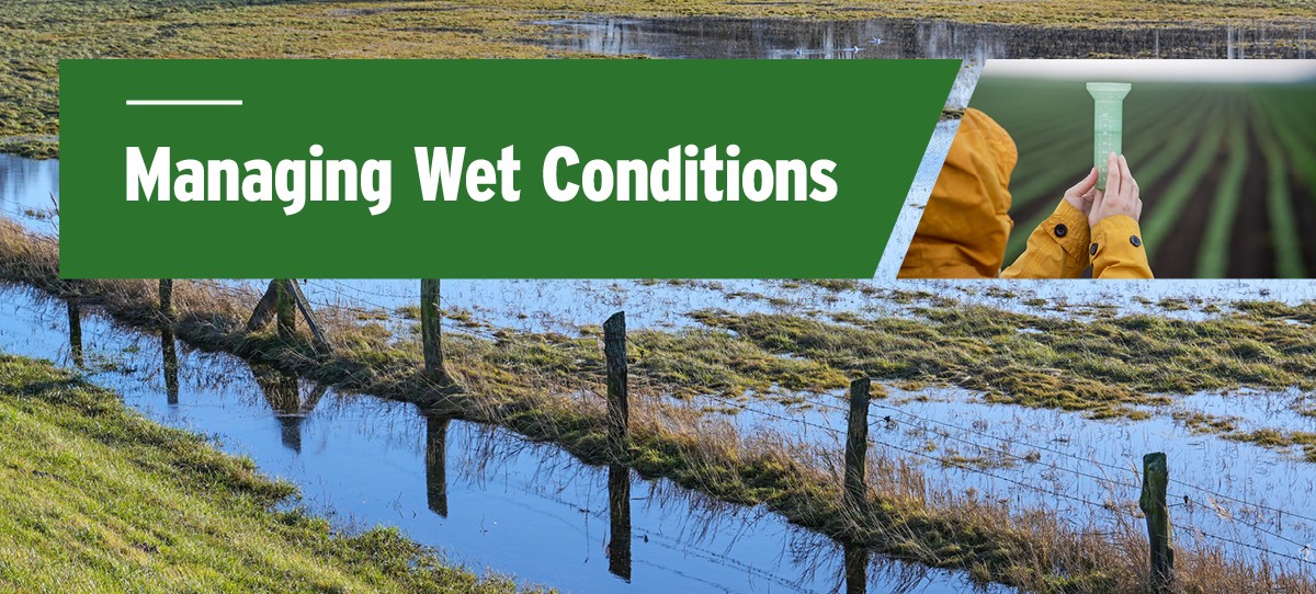  http://http://webpublishing.mbgov.ca/en/agriculture/PublishingImages/wet-conditions-instream.jpg style='display:block;width: 100%;position: relative;  margin-top: 20px;'