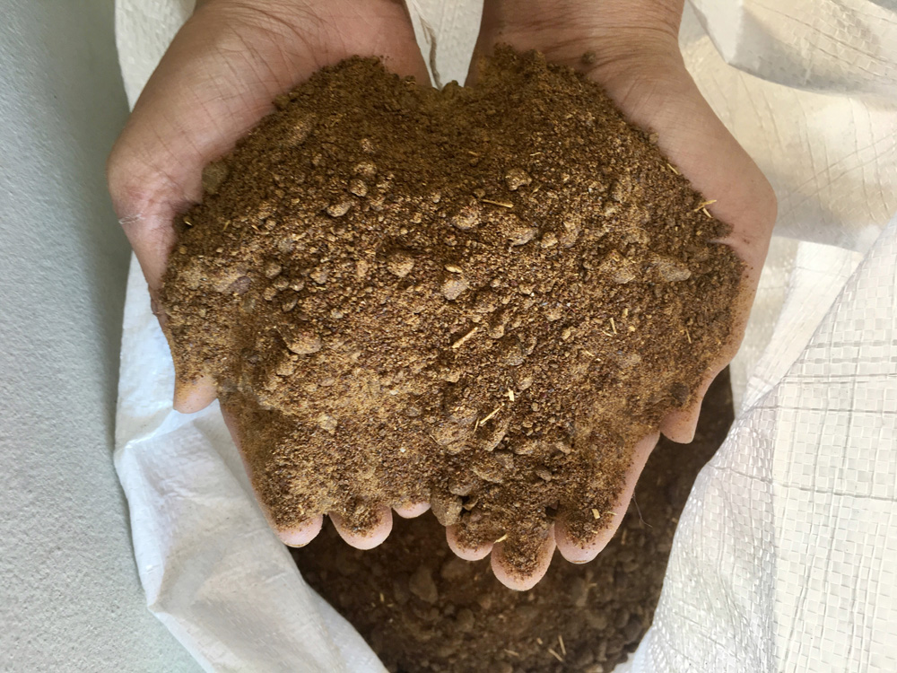Photo of someone holding up a pile of canola meal in their hands