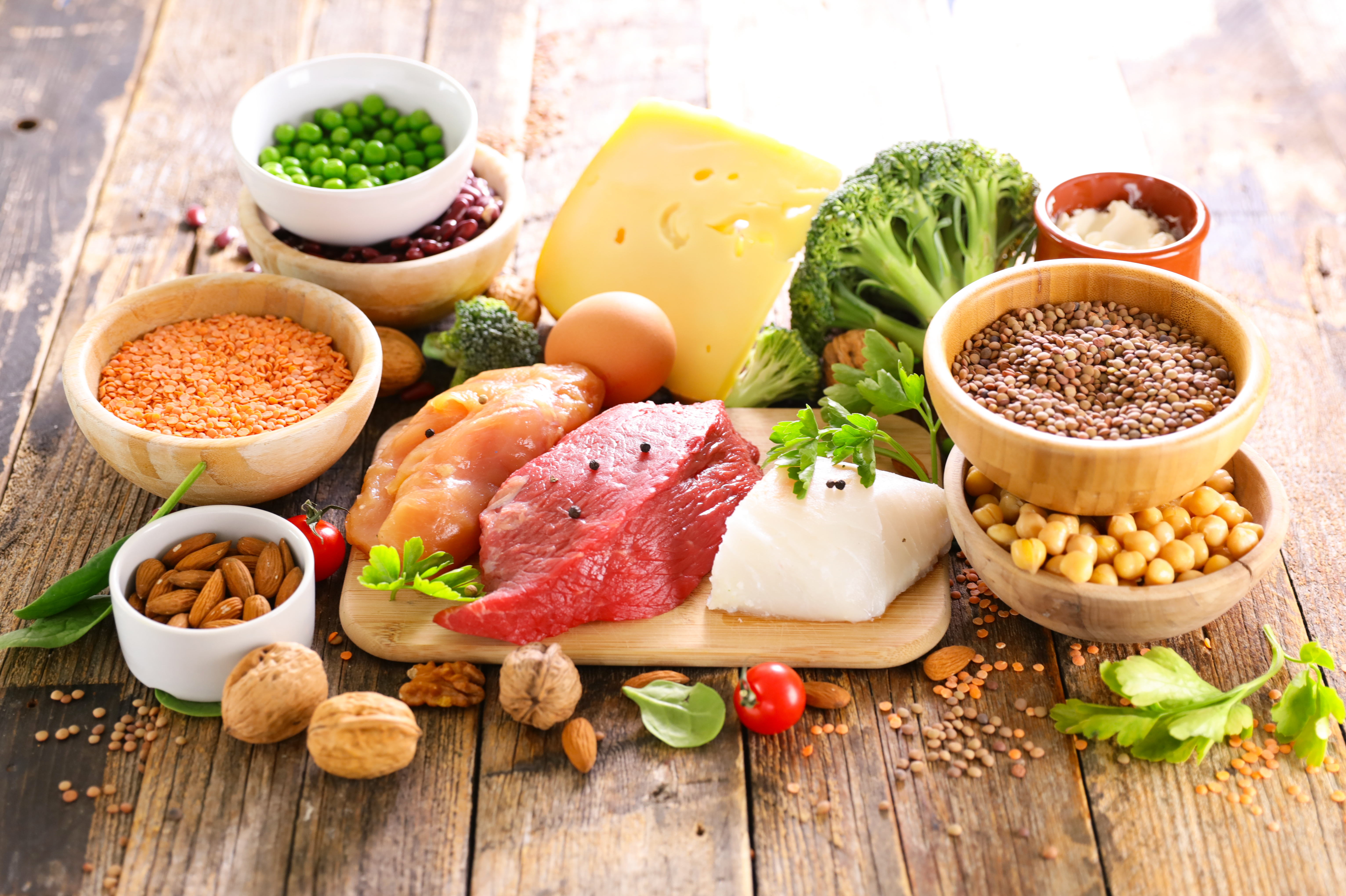 Photo of a variety of protein ingredients from plant and animal sources arranged on a table.