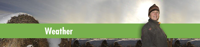 Weather Page