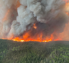 Wildfire information