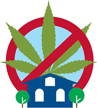Il est interdit de faire pousser du cannabis à la maison.