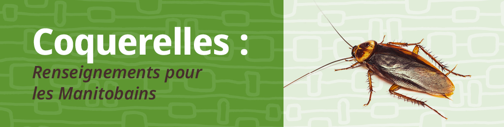 Coquerelles : Renseignements pour les Manitobains