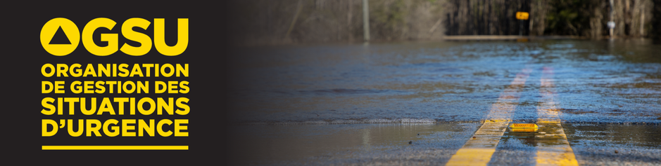 Spring banner for the homepage