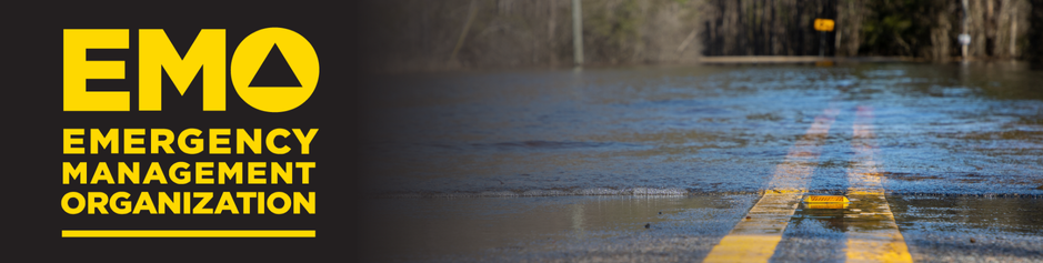 Spring banner for the homepage