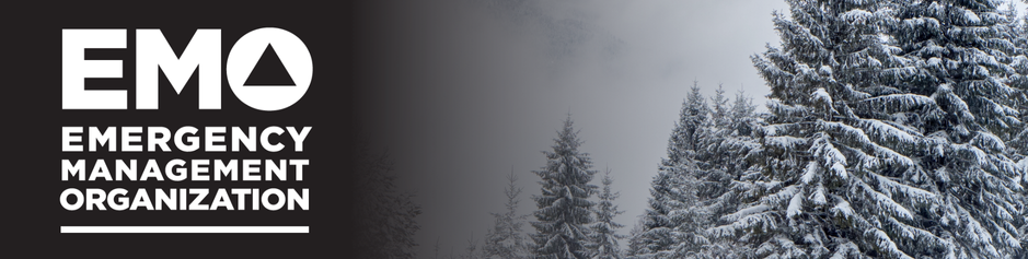 Winter banner for the homepage
