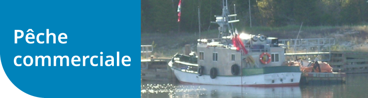 Pêche commerciale Pêche commerciale