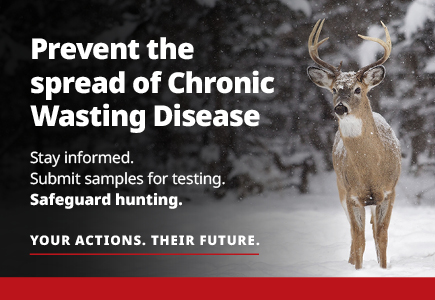 Prevent the spread of Chronic Wasting Disease. Stay informed. Submit samples for testing. Safeguard hunting. Your Actions. Their Future.