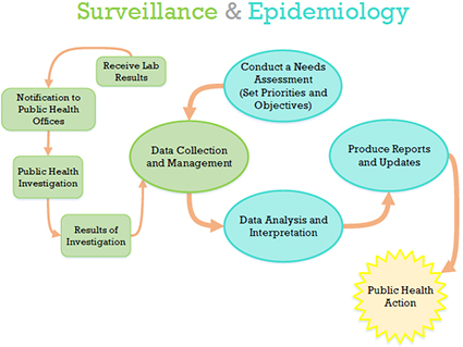 surveillance health epidemiology public epidemiological living system seniors monitoring unit active manitoba model mb gov ca publichealth