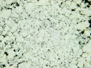Click to enlarge image of Unconsolidated silica sand, drillcore RP95-17