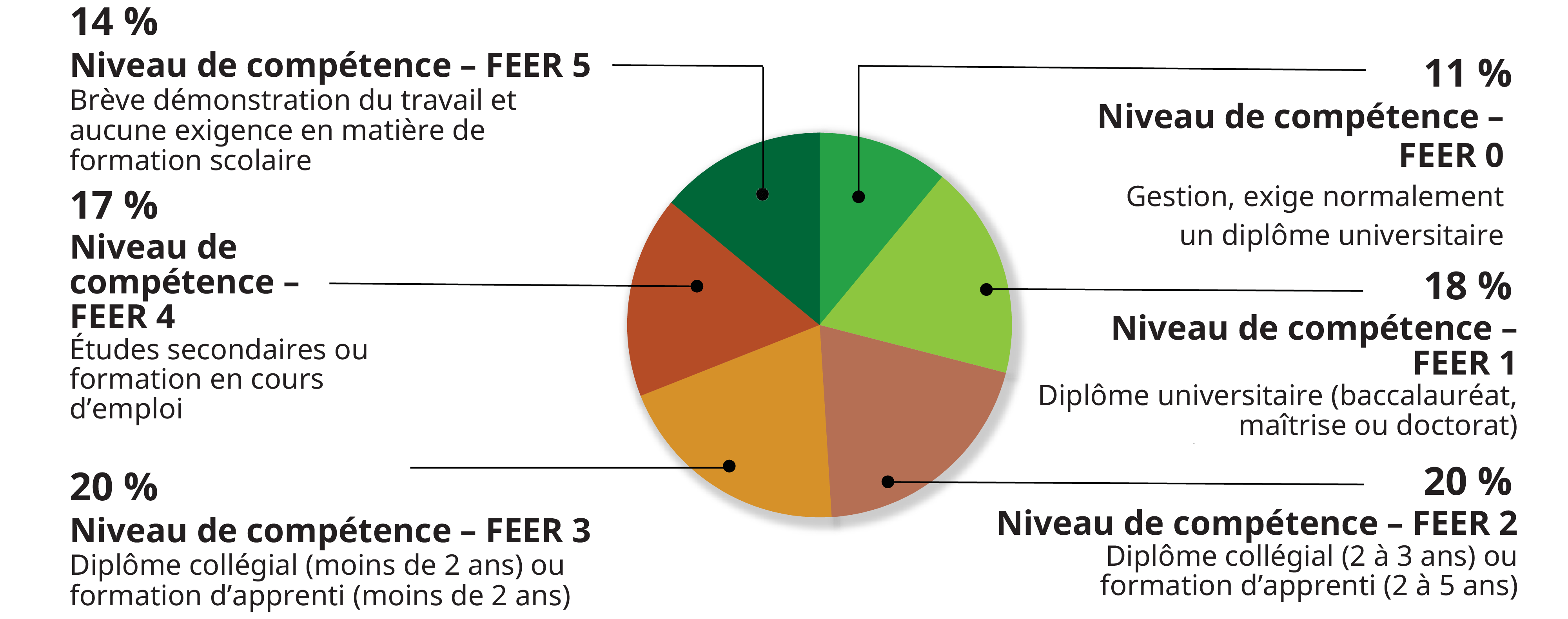 Postes à pourvoir par niveau de formation, d’études, d’expérience et de responsabilités (FEER), de 2025 à 2029 : 11 % -- Niveau de compétence – FEER 0 – Gestion – Diplôme universitaire habituellement requis; 18 % -- Niveau de compétence – FEER 1 – Diplôme universitaire (baccalauréat, maîtrise ou doctorat); 20 % -- Niveau de compétence – FEER 2 – Diplôme collégial (2 à 3 ans) ou formation d’apprenti (2 à 5 ans); 20 % -- Niveau de compétence – FEER 3 – Diplôme collégial (moins de 2 ans) ou formation d’apprenti (moins de 2 ans); 17 % -- Niveau de compétence – FEER 4 – Études secondaires ou formation en cours d’emploi; 14 % -- Niveau de compétence – FEER 5 – Brève démonstration du travail et aucune exigence en matière de formation scolaire. Postes à pourvoir par niveau de formation, d’études, d’expérience et de responsabilités (FEER), de 2025 à 2029 : 11 % -- Niveau de compétence – FEER 0 – Gestion – Diplôme universitaire habituellement requis; 18 % -- Niveau de compétence – FEER 1 – Diplôme universitaire (baccalauréat, maîtrise ou doctorat); 20 % -- Niveau de compétence – FEER 2 – Diplôme collégial (2 à 3 ans) ou formation d’apprenti (2 à 5 ans); 20 % -- Niveau de compétence – FEER 3 – Diplôme collégial (moins de 2 ans) ou formation d’apprenti (moins de 2 ans); 17 % -- Niveau de compétence – FEER 4 – Études secondaires ou formation en cours d’emploi; 14 % -- Niveau de compétence – FEER 5 – Brève démonstration du travail et aucune exigence en matière de formation scolaire.