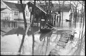 Image of man canoeing in a flooded residential area, 1950. 