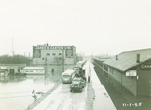 Trucks driving on a raised road through a flooded commercial area, 1950