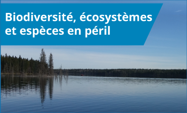 Biodiversité, écosystèmes et espèces en péril Biodiversité, écosystèmes et espèces en péril