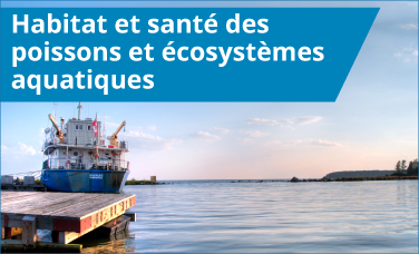 Habitat et santé des poissons et écosystèmes aquatiques