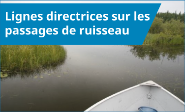 Lignes directrices sur les passages de ruisseau