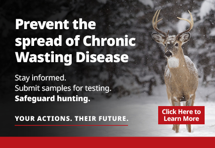 Prevent the spread of Chronic Wasting Disease. Stay informed. Submit samples for testing. Safeguard hunting. Your Actions. Their Future.