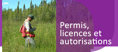 Permits, Licences & Approvals banner