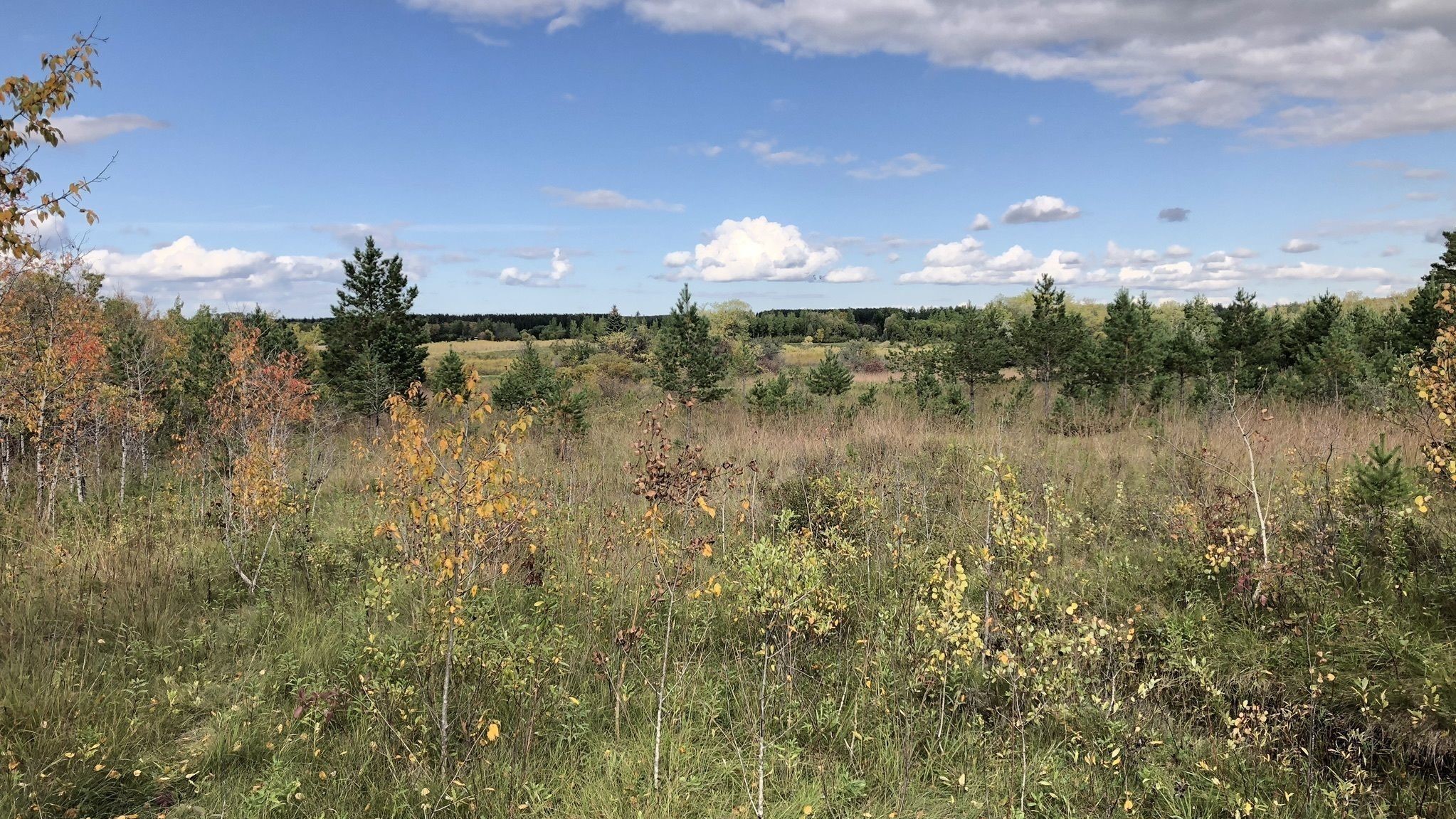 Birds Hill Provincial Park